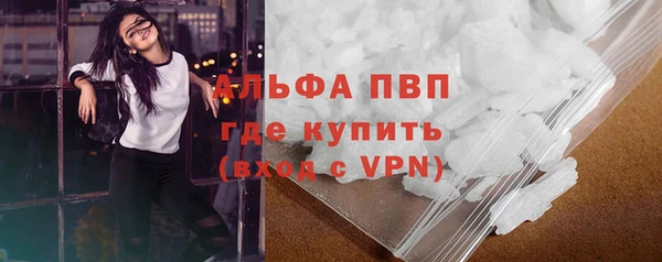 шишки Гусь-Хрустальный