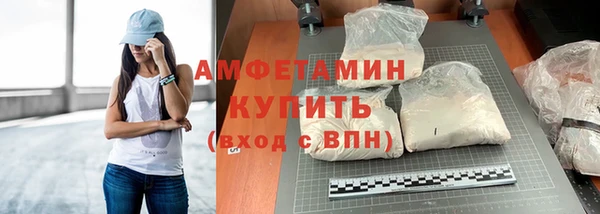 шишки Гусь-Хрустальный