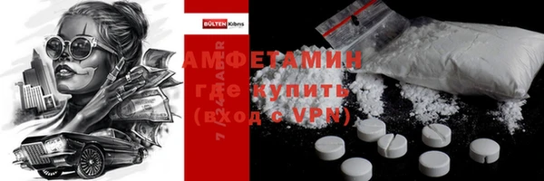 шишки Гусь-Хрустальный