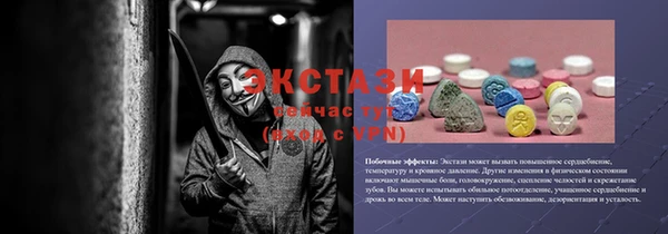 шишки Гусь-Хрустальный