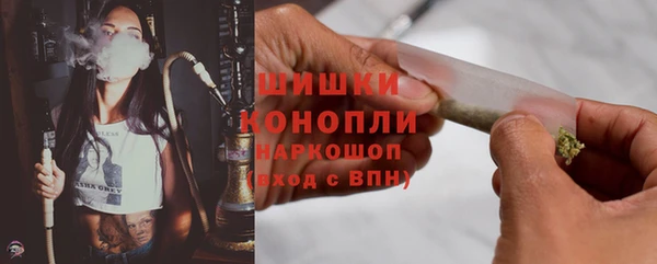 шишки Гусь-Хрустальный