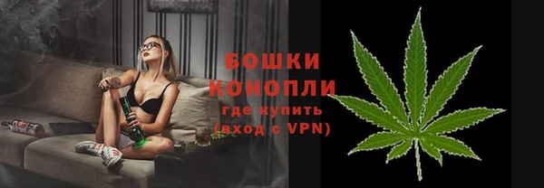 спайс Гусев