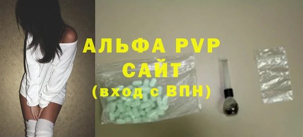 спайс Гусев