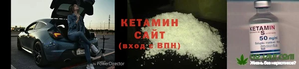 трава Дмитриев