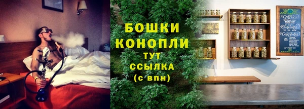шишки Гусь-Хрустальный