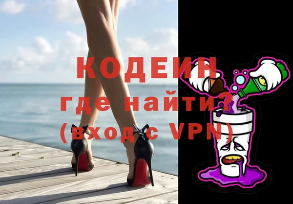 шишки Гусь-Хрустальный